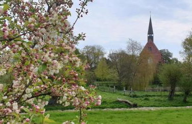 Ferienwohnung "Backsteinhaus Starkow" - Foto 11
