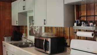 Lake Huron Lady of the Lake Cabin w HotTub, Sauna - Foto 3, stove, pet friendly, toaster