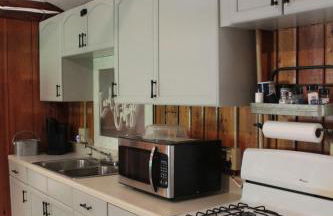 Lake Huron Lady of the Lake Cabin w HotTub, Sauna - Foto 3