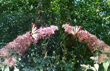 Case Danti Padronale - Foto 13