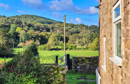 Meadow View Cottage - Photo 1