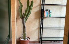 Apto. Residencial La Alcaidesa - Foto 17