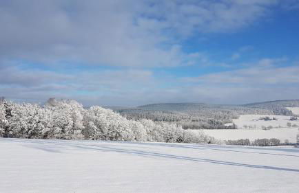 Ferienwohnung Flöhatalblick - Foto 38