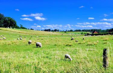 Dzika Warmia- Retreat in the Wild - Foto 28