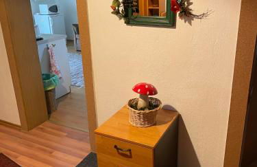 Schöne Ferienwohnung in Bahnhofsnähe für Urlaub, Studium oder Arbeit - Foto 63