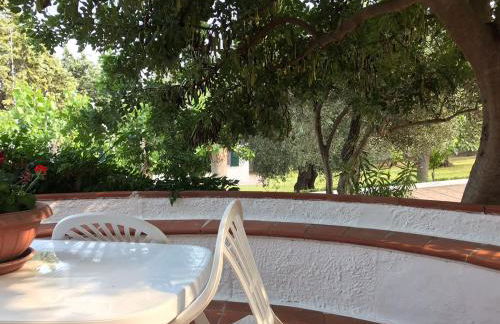 Villa Il Carrubo - Basilicata - Foto 6