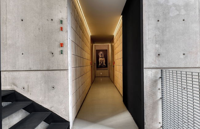 Boga Mexico City by Lumina - Foto 74