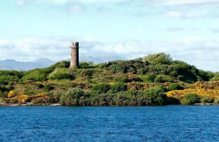 Herdwicks - Foto 132