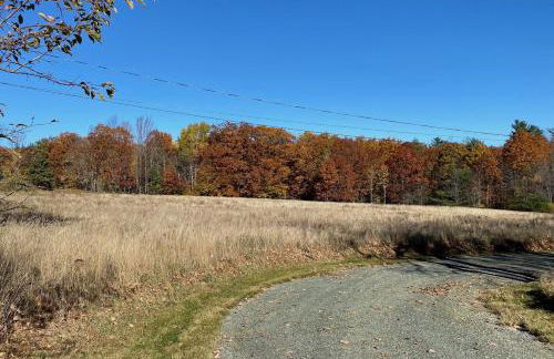 Not-so-tiny, Tranquil, Pond front Bungalow - Foto 8