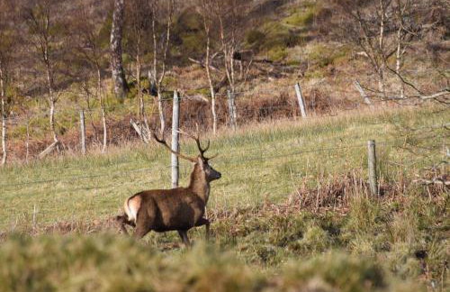 Red Watch Apartment - Foto 21