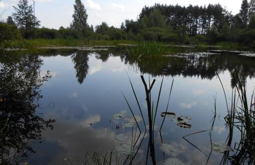 Domek Letniskowy ZŁOTY KARAŚ - Foto 42