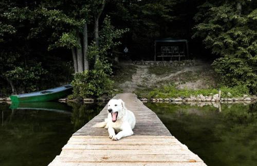 Zacisze nad Rospudą - Foto 41