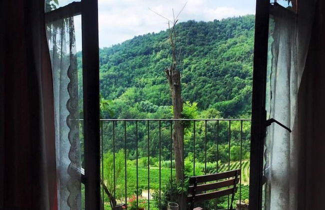 Cascina Bertolotto Wine Resort. - Foto 25