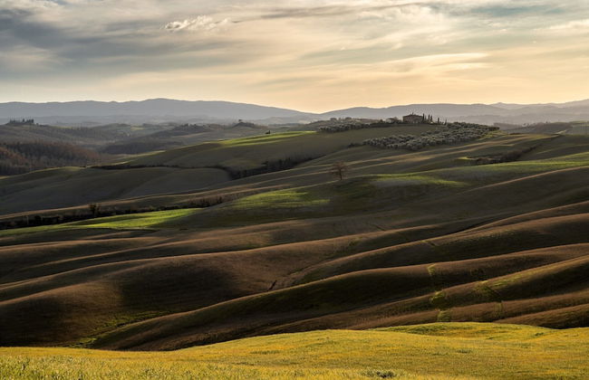 Vineyards Cottage With Pool Ac Wifi - Foto 9