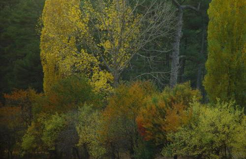 Casa El Volaero - Foto 46