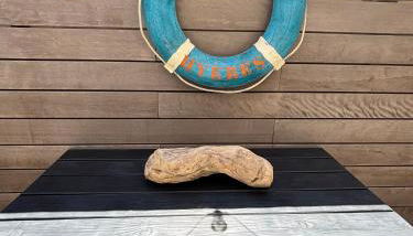 Les Flamants Roses La Capte T2 4 personnes 200m de la plage - Foto 3