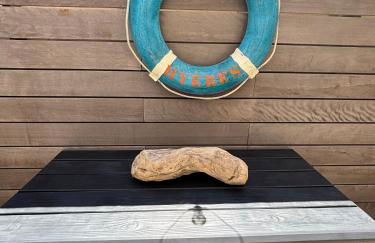 Les Flamants Roses La Capte T2 4 personnes 200m de la plage - Foto 3