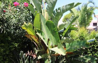 Charming Exceptional Golf Villa in Algarve - Photo 42