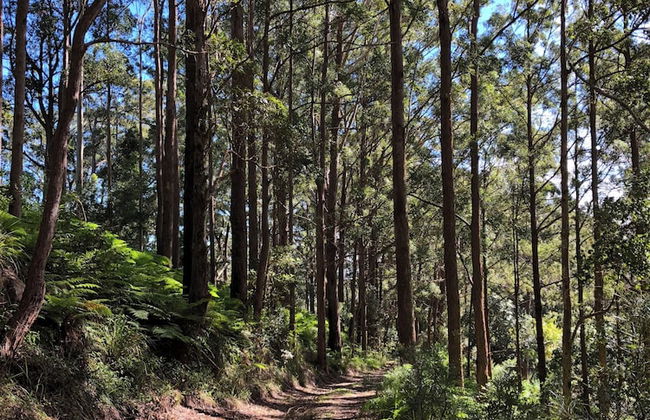 The Ridge at Maleny - Photo 35