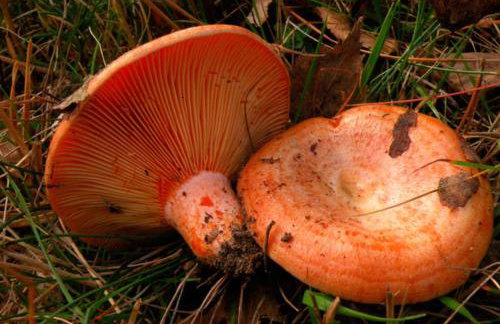 Apartamento con encanto en el Pirineo - Foto 32