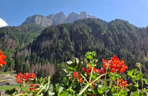 Residence Marmolada - Foto 38