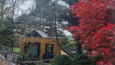 Ty Branwen- Luxury Woodland Lodge with Stunning Views - Foto 1