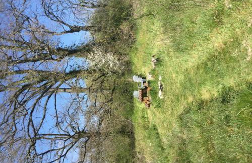 Holiday Home in Le Châtelet with Pool - Foto 41