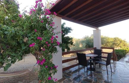 Tramonto Nel Delfini - Foto 49