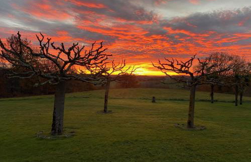 La Villa de Daramousque - Foto 29