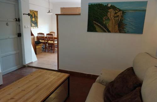 Ave Ibis eremita Vejer - Foto 19