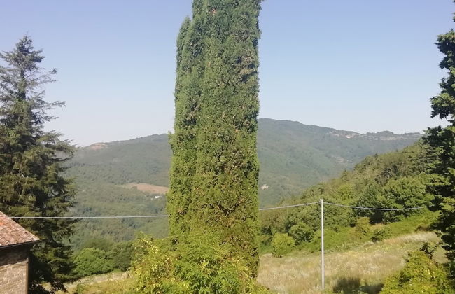 Fattoria di Cintoia - Photo 25
