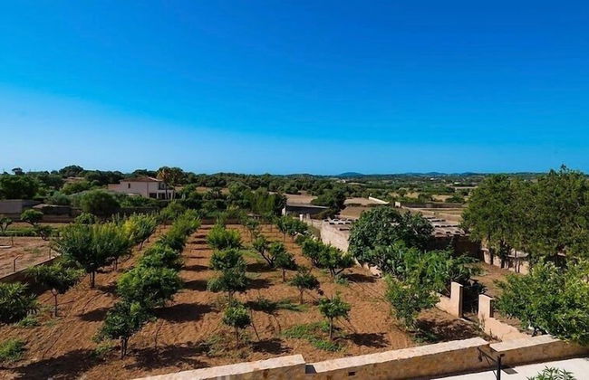 Ca Na Nina - Photo 23