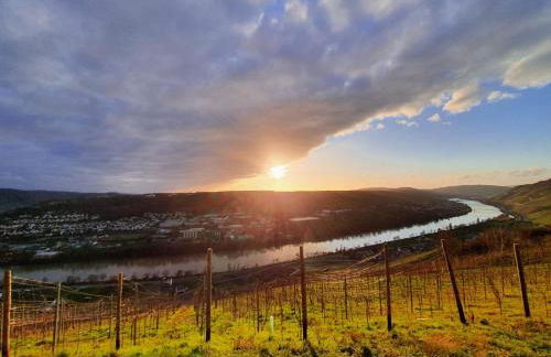 Apartment an der Mosel 1 - Foto 35