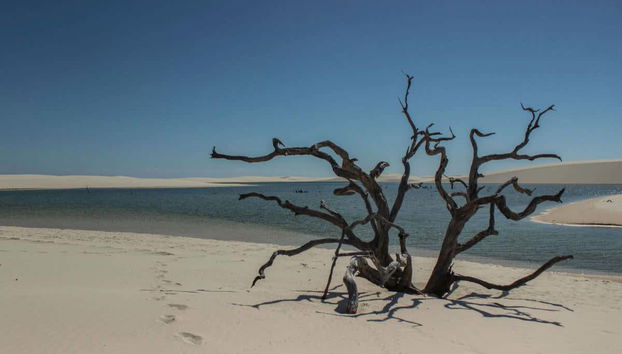 Parc National de Lençóis Maranhenses