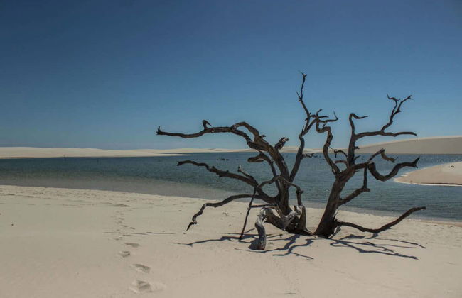 Itinerario di trekking privato di 2 giorni da Barreirinhas ad Atins - Foto 6