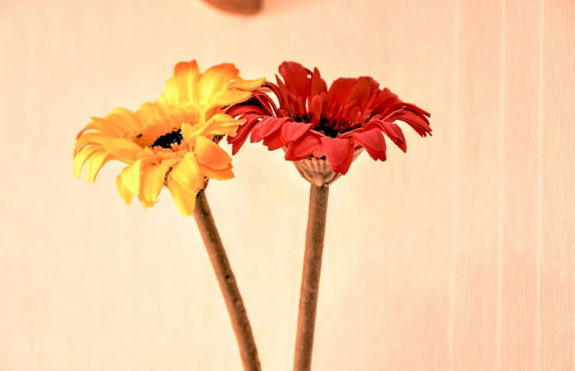 Apartment in Klutz Near Baltic Sea Beach - Foto 23