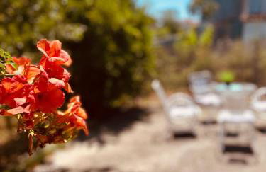 Sofia's House - Foto 10