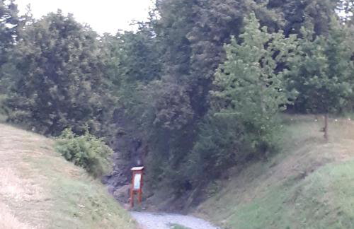 Agroturystyka "JAGAP" OAZA SPOKOJU - Foto 43