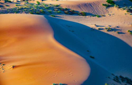 Le Dune Dorate - Foto 11