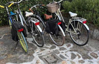 Casa Magnolia - Foto 10