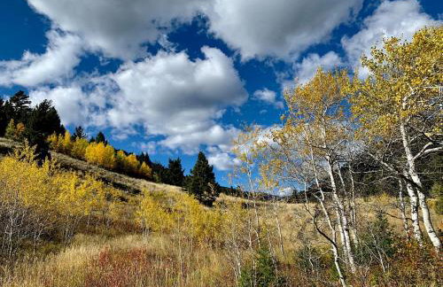 Mammoth Overlook Of Yellowstone - Foto 46