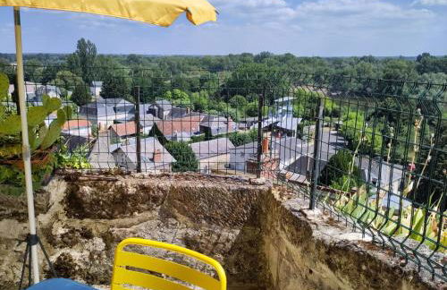 Le Gite de la Loire - Photo 15