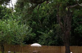 NEW! The Spoonbill House - 2 Kings 1 Full, 10 Minutes to Downtown, 10 minutes to Airport - Foto 33