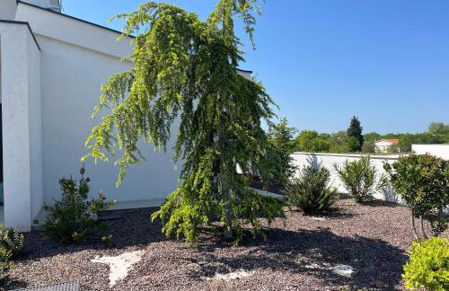 Villa Cedrus - Foto 34