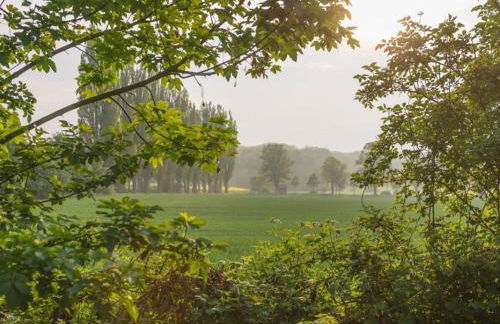 Rosenhagen in the Thorstorf estate barn - Foto 33