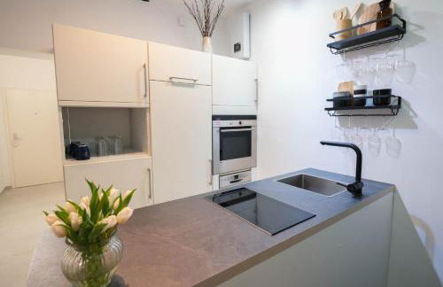 TANIC Deluxe Apartment Garden Central Industrial Fair - Foto 12