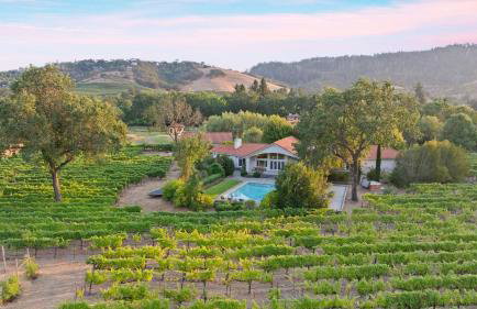 Vineyard Estate w Pool Spa Bocce Ball Mins to Wineries Park Lawndale Manor by AvantStay - Foto 44