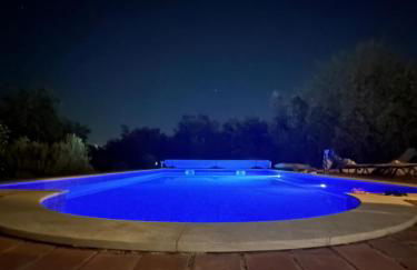 Casa das 3 Oliveiras - Foto 29