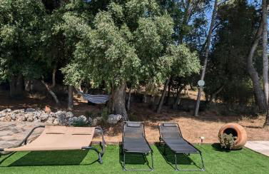 Casa Martí - Foto 7