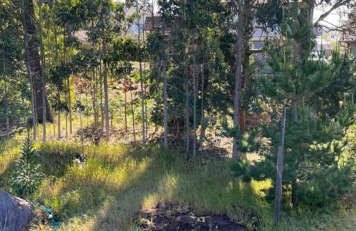 Fabulous Beach Get Away - Brand New Beach House - Foto 16